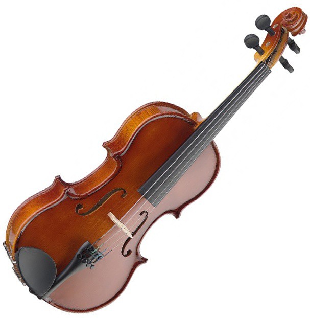 STAGG VN-3/4 Violin Soft-case and Bow - Stagg