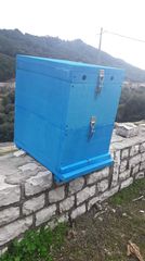 Κυψέλες 5 πλαισίων -thumb-1