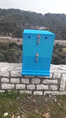 Κυψέλες εξηλασμενη πολυστερινη-thumb-4