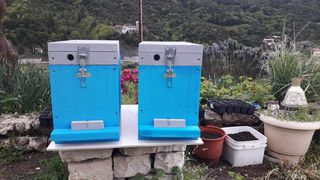 Κυψέλες εξηλασμενη πολυστερινη-thumb-5