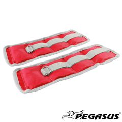 Βάρη Άκρων Ζεύγος Pegasus-thumb-1