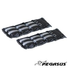 Βάρη Άκρων Ζεύγος Pegasus-thumb-3