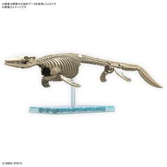 PLANNOSAURUS - Mosasaurus - Model Kit-thumb-2