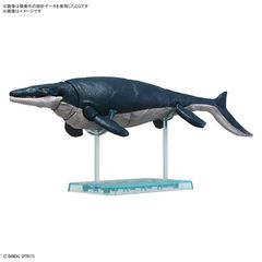 PLANNOSAURUS - Mosasaurus - Model Kit-thumb-1
