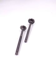 Βαλβιδες Εισαγ+Εξαγ Piaggio Zip50 