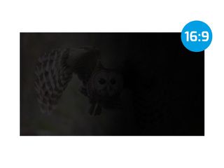 NATEC PRIVATIZING FILTER OWL 27" 16:9-thumb-4