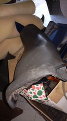 Σελα bmw K75 k100-thumb-7