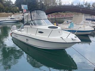 Seaswirl 2009 Striper 1851