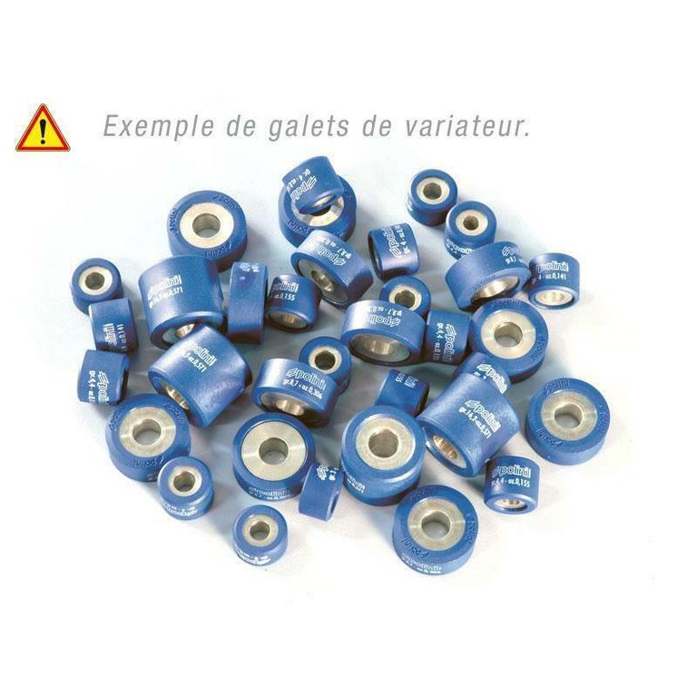 Polini Variator Rollers 25X16 G. 17,0