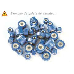 Polini Variator Rollers 25X16 G. 17,0-thumb-1