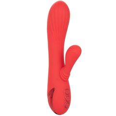 Rabbit Vibrator - Calexotics Palisades Passion