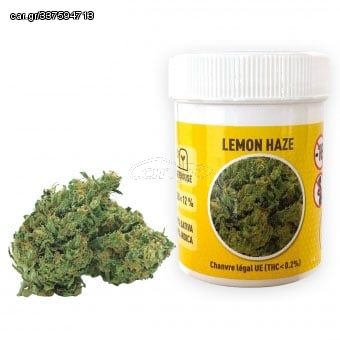 Cbd Tobacco Lemon Haze Premium 2g