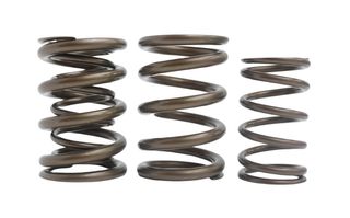 KELFORD PACALOY RACE SPRING (SR16/20VE)