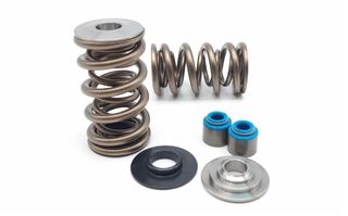 LS Dual 1905 Springs, Ti Retainers, Locators & Stem seals