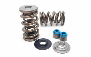 LS Dual 1204X Springs, Ti Retainers, Locators and Stem seals