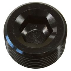NPT Plug 1/4" - Black Finish