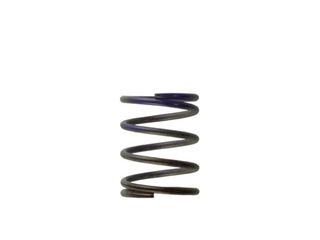 Gen4 IWG WG38/40/45/50L 7PSI MIDDLE SPRING – BROWN/PURPLE