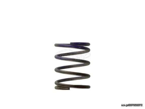 Gen4 IWG WG38/40/45/50L 7PSI MIDDLE SPRING – BROWN/PURPLE