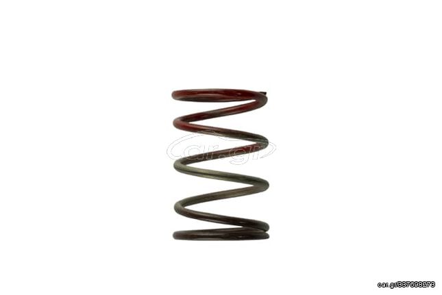 Gen 4/IWG WG38/40/45/50L 11PSI MIDDLE SPRING – BROWN/RED