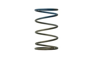 Gen 4/IWG WG38/40/45/50L 10PSI OUTER SPRING – BROWN/BLUE