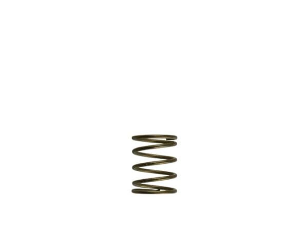 Gen-V WG45/50 3psi Orange Inner Spring