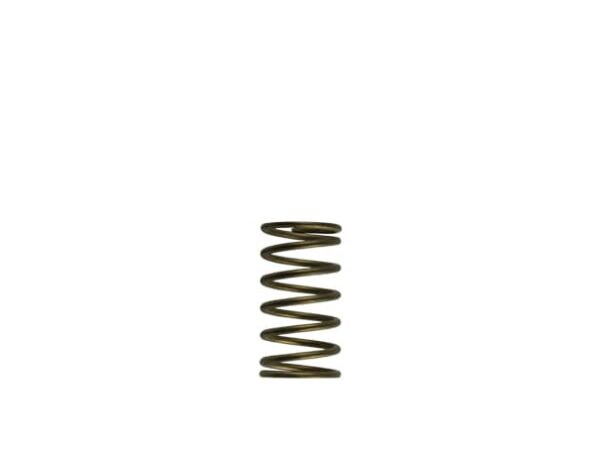 Gen-V WG60 3psi Inner Spring