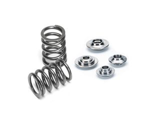 Single Valve Spring 73_at_ 40.6mm SPR-H1003S +RET-H1003/T1 + (8)SEAT-H1003E (exhaust only)