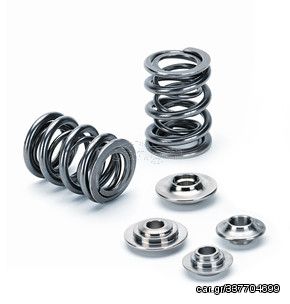 Dual valve spring kit 80 lbs _at_ 33.50mm / SPR-TS1012 + SEAT-TS15-LS-IN (NO RETAINER: USE OEM) 16 pcs