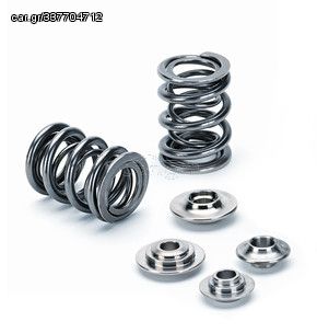 Dual Valve Spring 77_at_ 35.5mm SPR-TS1015 + RET-TS60MA2 + SEAT-TS1015/2Req. Flattening valve guide boss for innerspring to 0160" or less