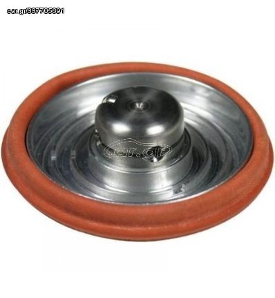 MVR Diaphragm assembly