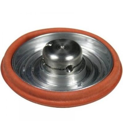 MVS Diagphragm assembly
