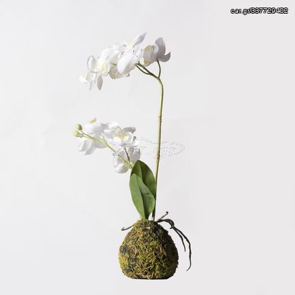 Supergreens Τεχνητό Φυτό Ορχιδέα Phalaenopsis Real Touch Λευκή με Βάση Moss 40 εκ.Χρώμα Λευκό Mήκος 20 Πλάτος 20 Υψος 40 SUPER-6070-6