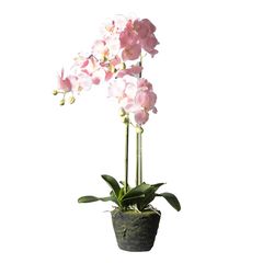 Supergreens Τεχνητό Φυτό Ορχιδέα Phalaenopsis Real Touch Ροζ με Βάση Moss 85 εκ.Χρώμα Ροζ Mήκος 39 Πλάτος 25 Υψος 85 SUPER-4170-6