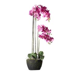 Supergreens Τεχνητό Φυτό Ορχιδέα Phalaenopsis Real Touch Φούξια με Βάση Moss 110 εκ.Χρώμα Φούξια Mήκος 44 Πλάτος 44 Υψος 110 SUPER-7170-6