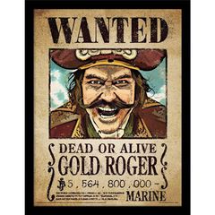 ONE PIECE LIVE ACTION - Gold Roger - Collector Print 30x40cm