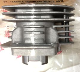 Yamaha f1zr-thumb-4