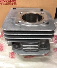 Yamaha f1zr-thumb-5