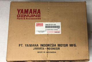 Yamaha f1zr-thumb-6