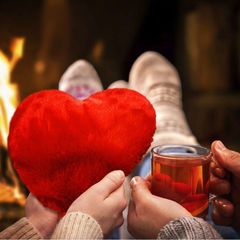Warming Heart Pillow Deluxe / Gadgets