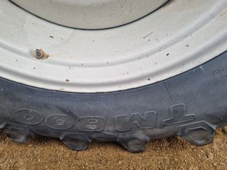 Trelleborg TM800 540/65R28-thumb-2