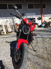 Ducati Monster 2023 Monster-thumb-3