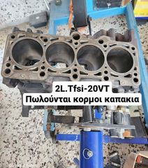 2L ΚΟΡΜΟΙ ΜΕ ΑΤΣΑΛΙΝΑ ΚΑΒΑΛΕΤΑ