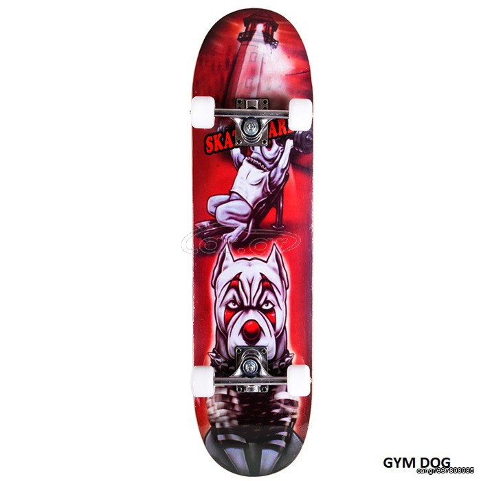 Skateboard -Waveboard 2024 ΑΘΛΟΠΑΙΔΙΑ 4000 GYM DOG