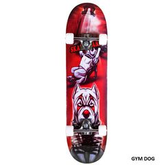 Ποδήλατο skateboard -waveboard '24 ΑΘΛΟΠΑΙΔΙΑ 4000 GYM DOG