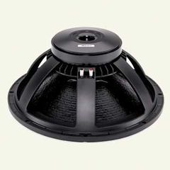 B & C Speakers 18-PS100 SPEAKER subwoofer 18 inch 700W, 95.5dB - B & C Speakers