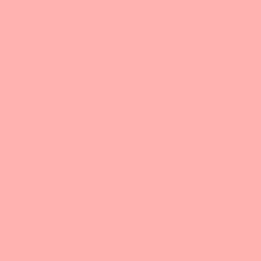 Chris James 109 Light Salmon Lighting Filter 122Χ100 cm - Chris James