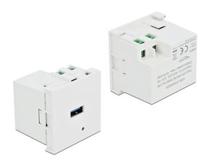 DELOCK module USB θύρα φόρτισης Easy 45 81311, 18W, 45x45mm, λευκό