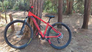 All - Mountain Adriatica 2022 Wing RX-thumb-3
