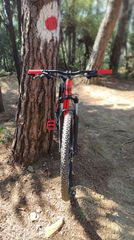 All - Mountain Adriatica 2022 Wing RX-thumb-4