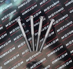 Βίδες titanium M10 X 1.25-thumb-1